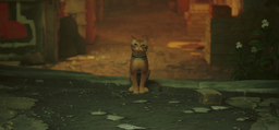 Если бы не котик… Обзор Stray
