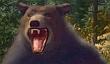 Activision is preparing a game about hunting wild animals for Kinect