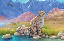 Se abre el pedido anticipado de "Naturaleza": un juego de mesa sobre la evolución de los animales