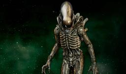 Premium Collectibles Studio открыла предзаказ на 124-сантиметровую статую ксеноморфа из фильма «Чужой»