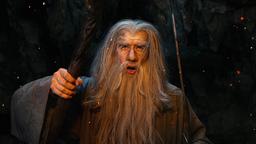 Cosplayer Shows Gandalf the Grey's Battle with the Balrog from "The Lord of the Rings" - "You Shall Not Pass!"