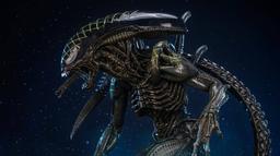 Premium Collectibles Studio abrirá la pre-venta de la estatua de Nethead de la película "Alien vs. Predator"