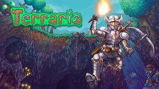 Создателя Terraria забанили в Google
