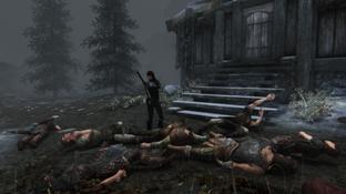 Игрок остался один в Skyrim. Он утверждает, что уничтожил всех персонажей и существ