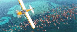 Оптимизация. Теперь клиент Microsoft Flight Simulator «весит» в два раза меньше