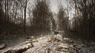 Новый Silent Hill? Разработчики загадочной Abandoned скоро раскроют секрет