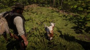 В Red Dead Redemption 2 можно завести собаку с помощью мода