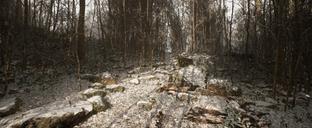 Приложение Abandoned для PS5 включает только ролик продолжительностью 5 секунд