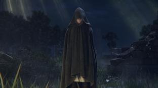 Новое изображение Elden Ring заставит фанатов FromSoftware погрузиться в мечтания