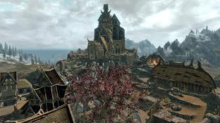 Skyrim «вторглась» в The Sims 4 благодаря фанату