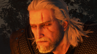 Игрок The Witcher 3 спустя 7 лет нашёл «последний секрет» — он оказался забагованным