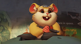 Blizzard удалила хомяка Тарана из беты Overwatch 2 — его удары выбрасывали из игры