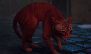 Физические издания Stray для PS5 поступят в Россию с РРЦ 4999 рублей