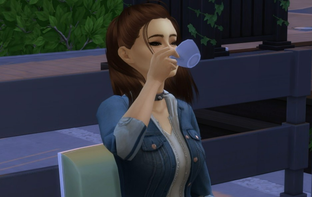 Многочисленные баги The Sims 4 обещают исправить только через неделю