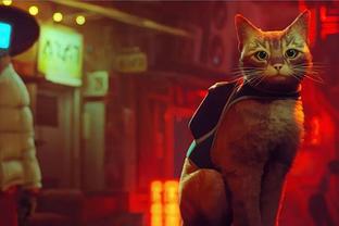 Издатель Stray организовал сбор средств для помощи бездомным животным