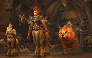 Blizzard добавит в WoW глухого персонажа. Инклюзивность обеспечит сурдопереводчик, которого тоже введут в игру