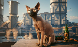 CD Projekt запустила конкурс для игроков Cyberpunk 2077: необходимо делать замуррчательные скриншоты котика