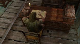 Новый мод для Skyrim позволит построить карьеру писаря