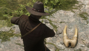 В Red Dead Redemption 2 плохо показали палеонтологов и унизили женщину. Опубликована научная статья о стереотипах