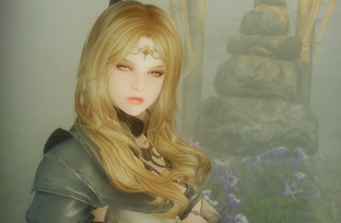В Skyrim появилась возможность стать ярлом: строительство, сбор налогов и совершение набегов
