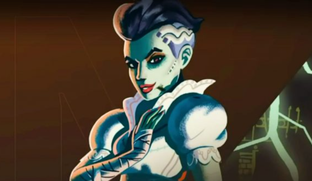 Blizzard по ошибке продавала старые скины в Overwatch 2 за 20 долларов под видом новых