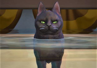 Разработчикам The Sims 4 интересно, насколько игроки недовольны и что хотят