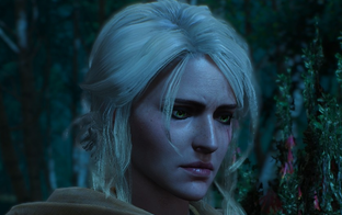 Шоураннер сериала The Witcher никогда не смеялась над книгами Сапковского. В Интернете просто врут
