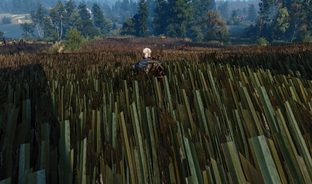 CDPR знает, что ремастер The Witcher 3 на ПК сломан и следит за ситуацией