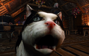 Почему в The Witcher 3 исправили русскую озвучку, хотя CDPR ушла из России? Разработчики оправдываются перед Интернетом