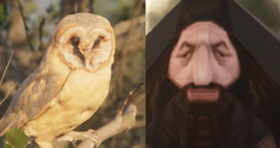 Hogwarts Legacy создавали почти 6 лет. Блогер воссоздал игру за сутки и показал результат