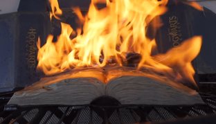 Блогер уничтожил коллекционку Hogwarts Legacy. Его поспешно записали в борцы с трансфобией