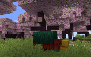 Minecraft получит новый биом. Mojang представила долгожданный контент