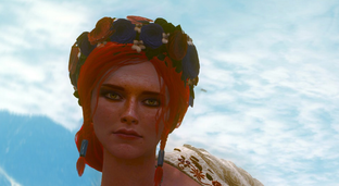 «Это другое» CDPR удаляет из The Witcher 3 улучшенные женские гениталии, но не против наготы или взрослых тем