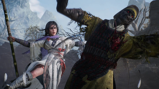 Wo Long Fallen Dynasty от авторов Nioh получила высочайшие оценки. С фаворитом хакерши Empress рекомендуют познакомиться