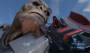 Halo Infinite больше не работает на видеокартах без 4 ГБ видеопамяти. Разработчики отрезали часть аудитории обновлением