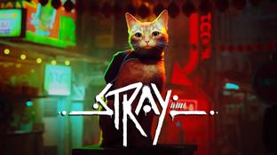 Кошачий хит c PlayStation потеряет консольную эксклюзивность? Похоже, Stray скоро выйдет на Xbox
