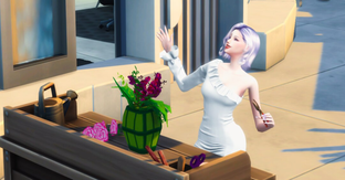 Свобода и уют в The Sims 4. Игра получит новые комплекты