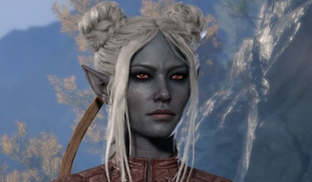 Телепорт из Diablo 4 в Baldur's Gate 3. Патч игры Blizzard обернулся рекламой Larian Studios