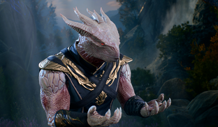 Гайд по созданию героя в Baldur's Gate 3. Продумываем и отыгрываем персонажа по книге правил Dungeons & Dragons пятой редакции (5E)