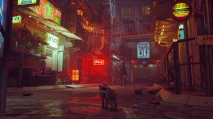 Microsoft напомнила о выходе Stray на Xbox