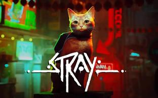Digital Foundry сравнила Stray для Xbox и PlayStation