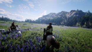 Петиция о создании DLC для Red Dead Redemption 2 набрала 12 тысяч подписей