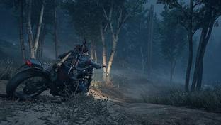 Похоже, продолжение Days Gone находилось в разработке