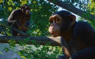 Planet Zoo выйдет на Xbox Series X|S и PS5. Подтверждена дата релиза