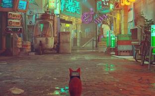 Сюрприз Nintendo Direct. Stray - самая кошачья игра последних лет выйдет на Switch