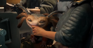 Графику Star Wars Outlaws сравнили с первыми презентациями. Как изменилась игра Ubisoft