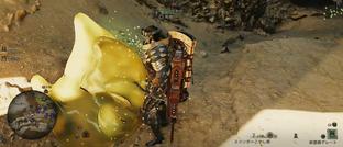 Режим для арахнофобов в Monster Hunter Wilds превращает насекомых в сгустки зеленых соплей