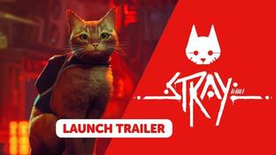 Stray доступна на Nintendo Switch в физическом и цифровом изданиях