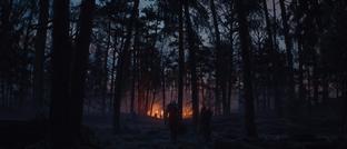 Геральт появится в The Witcher 4, подтвердила CD Projekt