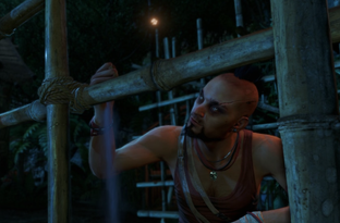 Ubisoft позаботилась об охотниках за 100% достижений в Steam. Вышло исправление для Far Cry 3 — 13-летнее ожидание подошло к концу